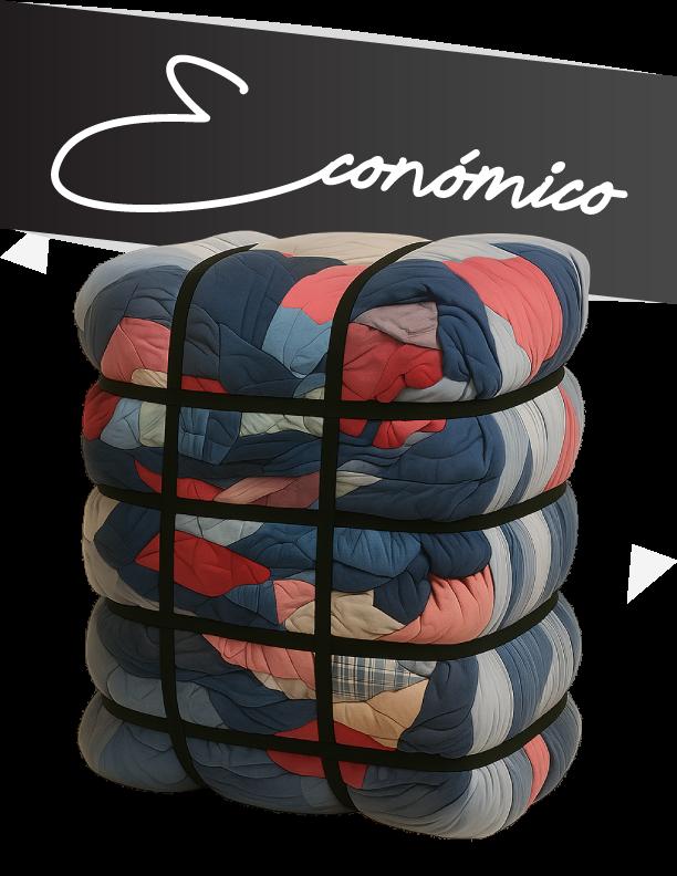 Mixto Económico