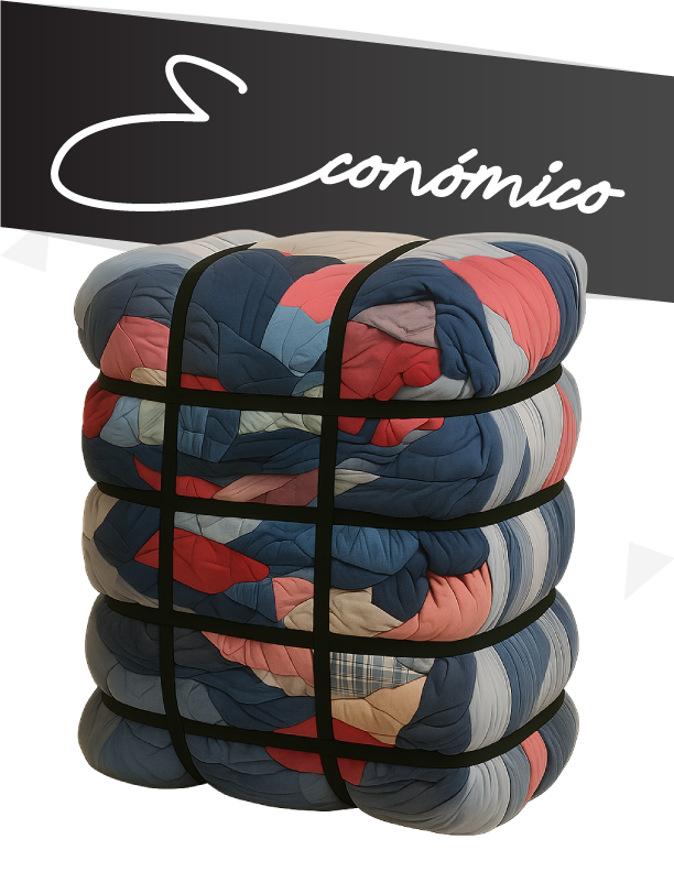 Mixto Económico